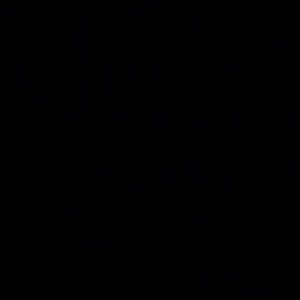 Meet your Posher, Terry